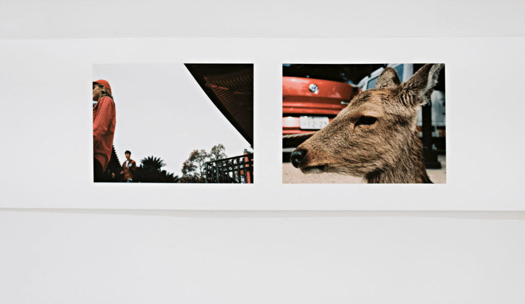 Installation view of exhibition