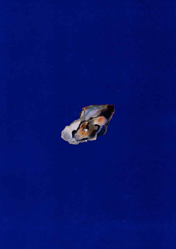 An illustration of an oyster by Nicola Bryant. Copyright Good Nic