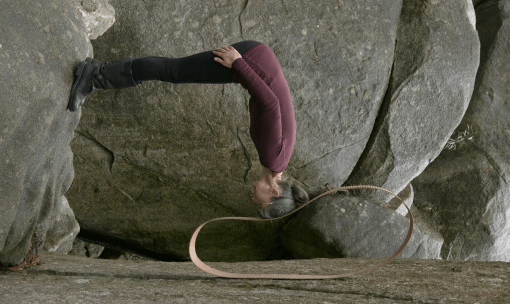 Rocks Happy to Help Simone Slee from Winter Night Screen Curated by Nicola Bryant