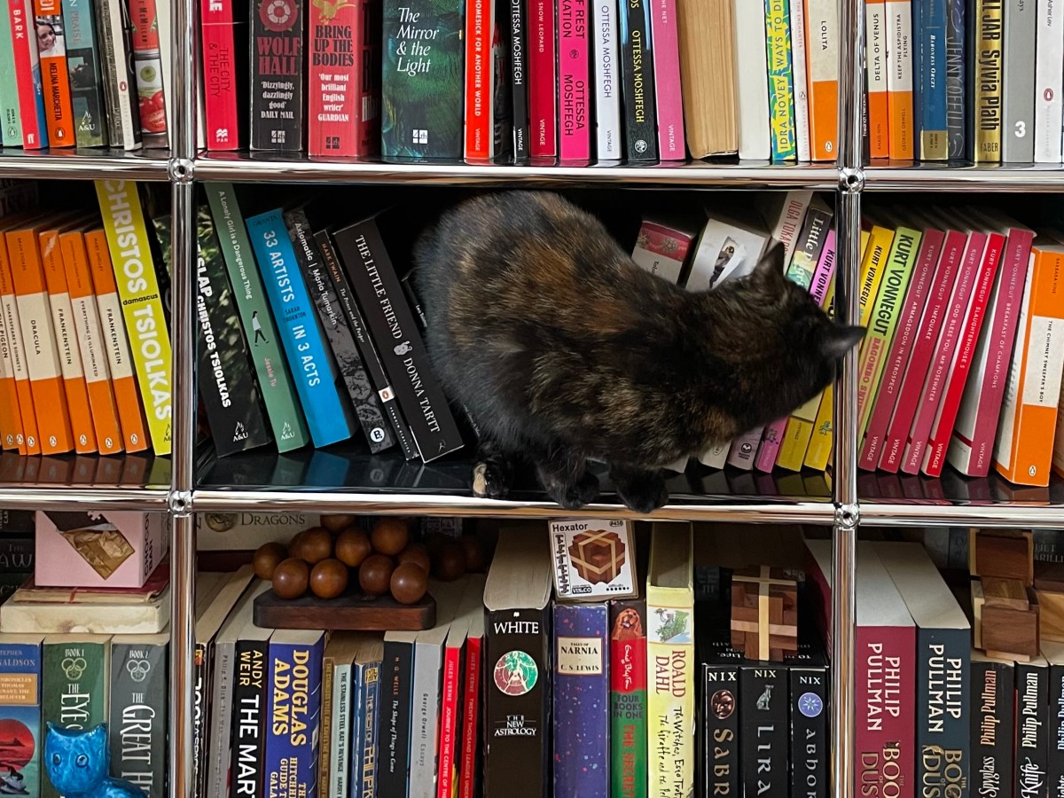 Good Nic joins the board of&nbsp;#LoveOzYA