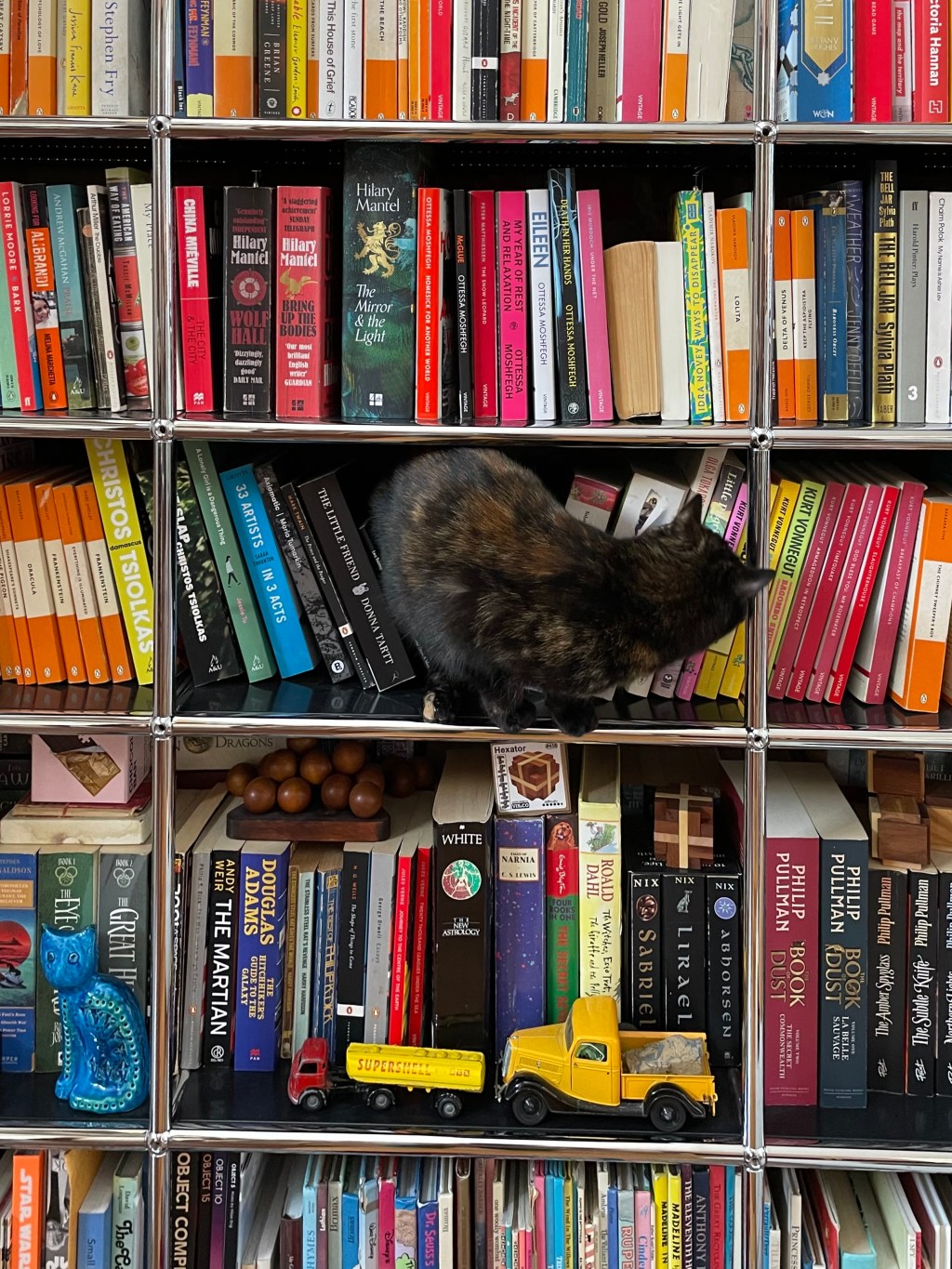 Good Nic joins the board of&nbsp;#LoveOzYA