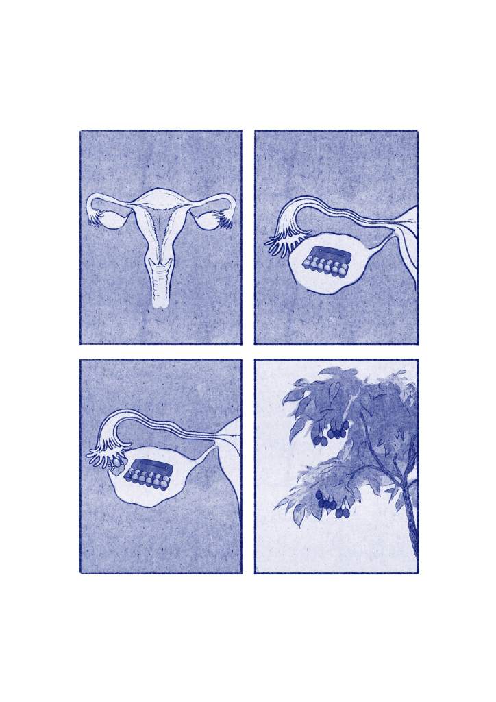 Illustration depicting the female reproductive system with diagrams of the uterus and ovaries, showing a hand holding contraceptive pills and a tree with fruits.